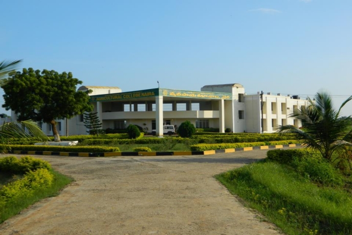 https://cache.careers360.mobi/media/colleges/social-media/media-gallery/20083/2018/11/9/Campus View of Agricultural College Naira_Campus-View.jpg